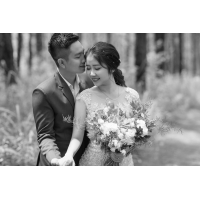 Lê Triều Dương