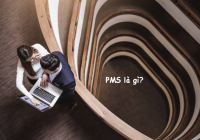 PMS là gì? Lật tẩy 8+ thông tin ít ai biết về PMS khách sạn