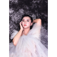 Phan Mỹ Linh