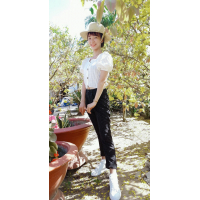 Hồ Thị Kim Ánh