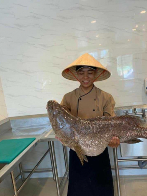 Hồ Ngọc Hiến