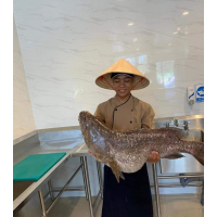 Hồ Ngọc Hiến