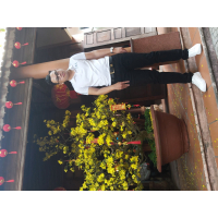 Nguyễn Song Nguyên Vũ