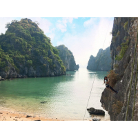 Tuyết Nhi
