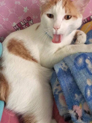 Đỗ Thị Ngọc Liên