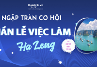 Tuần lễ việc làm Hạ Long 2020 và những điều Nhà tuyển dụng nhất thiết phải biết