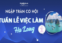 Ứng tuyển ngay - Nhận việc trao tay tại Tuần lễ việc làm Hạ Long 2020