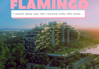 Cái tên “Flamingo” nổi danh ra đời như thế nào?