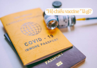 Hộ chiếu vaccine là gì? Ngành du lịch thế giới sẽ sớm phục hồi nhờ hộ chiếu vaccine?