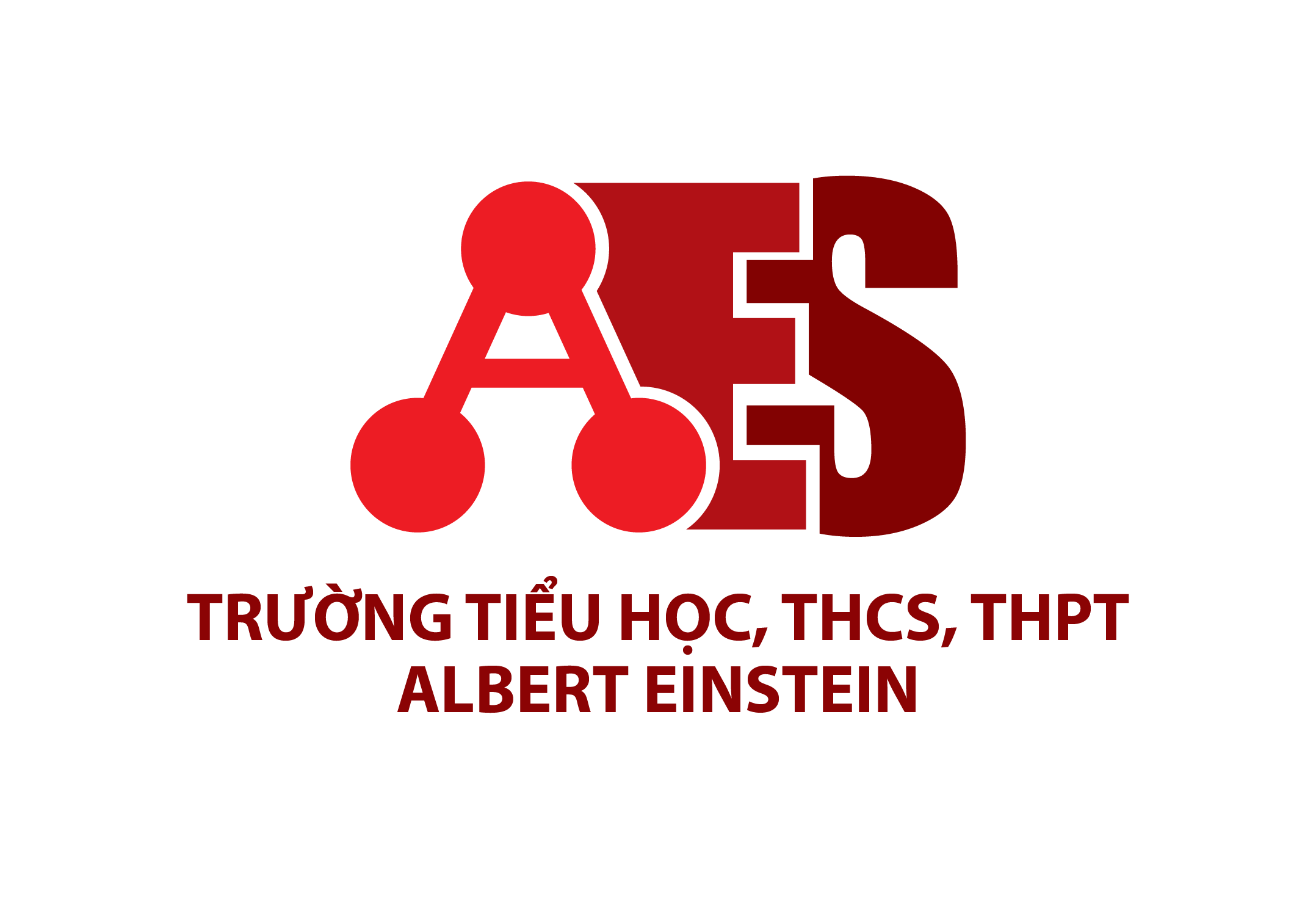 TRƯỜNG TH - THCS - THPT ALBERT EINSTEIN