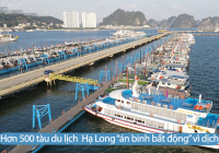 Dịch bệnh dai dẳng - chủ tàu du lịch tại Hạ Long khốn đốn vì nợ chồng nợ