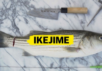 Ikejime là gì? Quy trình 5 bước thực hiện kỹ thuật Ikejime chuẩn đầu bếp Nhật