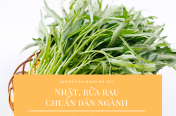 Nhặt, rửa rau chuẩn bếp nhà hàng [Series Cẩm nang bỏ túi]