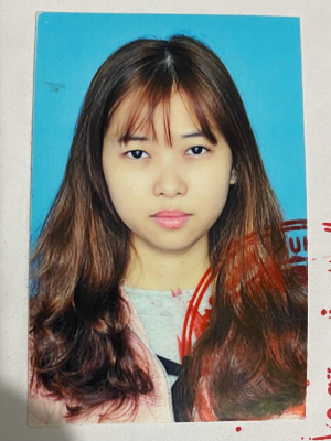 Lý Thị Hồng Vân