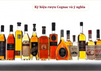 17 Ký Hiệu Rượu Cognac Thường Gặp Và Ý Nghĩa, Sommelier cần biết
