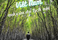 Không đợi Phú Quốc, Việt Nam “mở cửa du lịch” với tour nội đầu tiên
