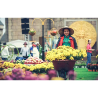 Trần Thị Hồng Hạnh