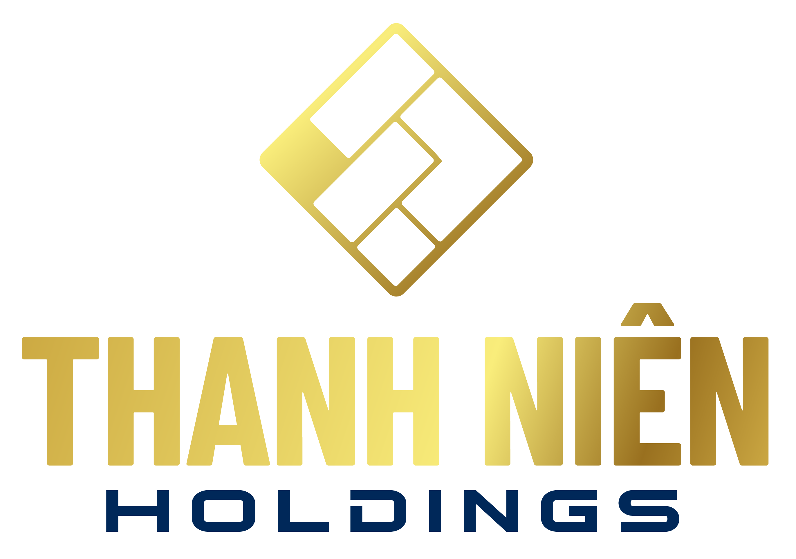 Thanh Niên Holdings