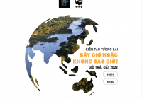 Cùng WWF hưởng ứng Giờ Trái Đất 2022: “Bây giờ hoặc Không bao giờ”