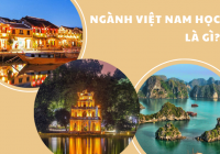 Ngành Việt Nam học: Học gì? Ở đâu? Ra trường làm gì?