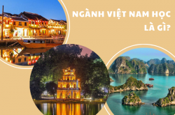 Ngành Việt Nam học: Học gì? Ở đâu? Ra trường làm gì?