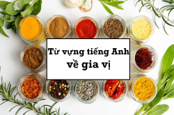 List nhanh 50+ tên các loại gia vị bằng tiếng Anh cho nhân viên nhà hàng