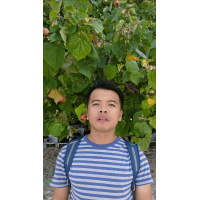 Vo Hong Thi