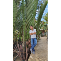 Huỳnh Tấn Huy