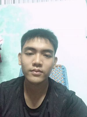 Hồ Tiến Phi