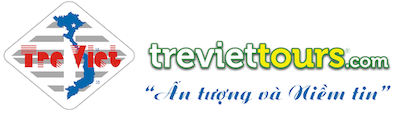 Công ty TNHH Dịch thuật Thương mại Và Du lịch Tre Việt