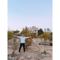 Trương Văn Thương