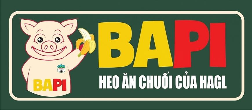 Công ty cổ phần Bapi Hoàng Anh Gia Lai