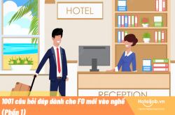 1001 câu hỏi đáp dành cho FO mới vào nghề (Phần 1)
