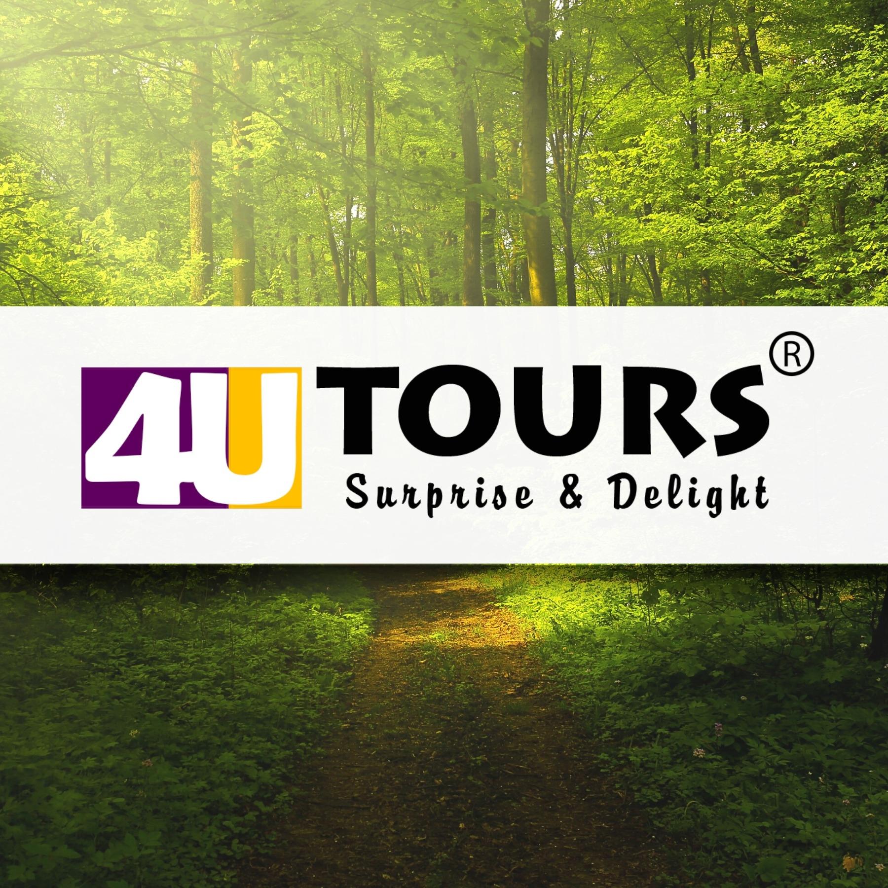 4U Tours - Surprise & Delight