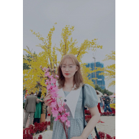 Ngô Thị Hồng Như