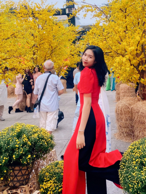Lê Thị Hoa Phấn