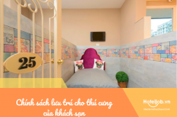 Chính sách lưu trú cho thú cưng của khách sạn
