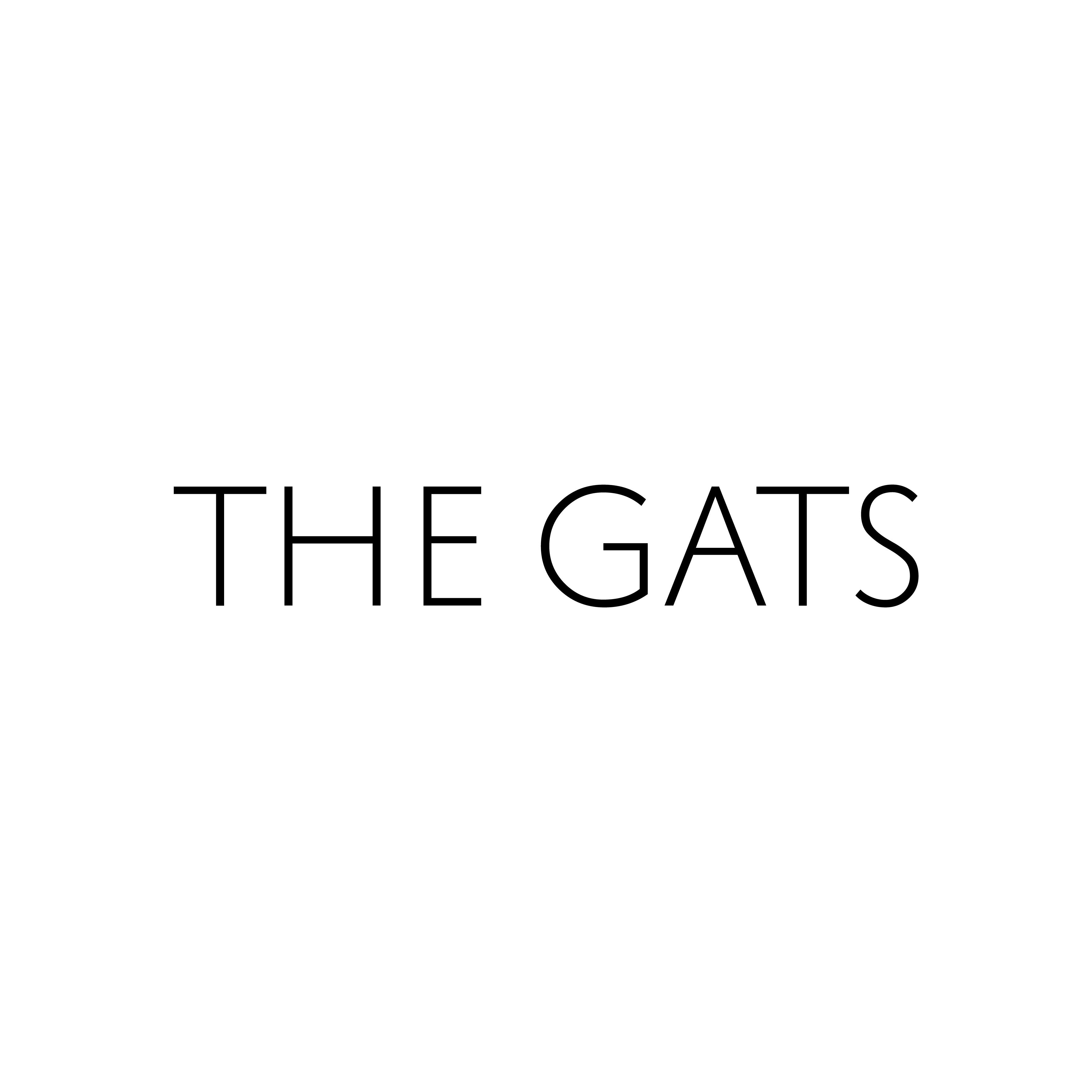 THE GATS INVESTMENT