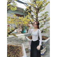 Lâm Ngọc Quế Trâm 