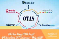 Phí hoa hồng OTA là gì? Phí hoa hồng OTA nào cao - thấp nhất?