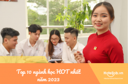Top 10 ngành học hot nhất năm 2023