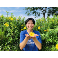 Linh Linh