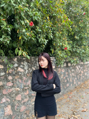Tống Việt Anh