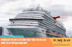 Những bật mí thú vị về công việc trên tàu du lịch quốc tế có thể bạn chưa biết