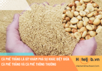 Cà phê trắng là gì? Khám phá sự khác biệt giữa cà phê trắng và cà phê thông thường