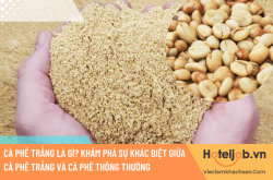 Cà phê trắng là gì? Khám phá sự khác biệt giữa cà phê trắng và cà phê thông thường