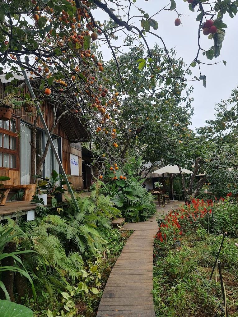 THUNG LŨNG SUNVIEW