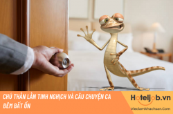 Chú thằn lằn tinh nghịch và câu chuyện ca đêm bất ổn