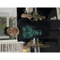 Đỗ Đại Dương