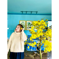 LÊ THỊ QUỲNH MI 